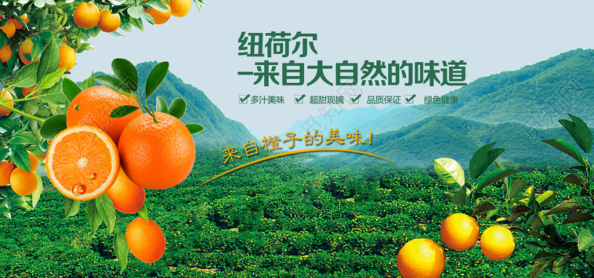 繽紛農產品美食生鮮——水果蔬菜的盛宴