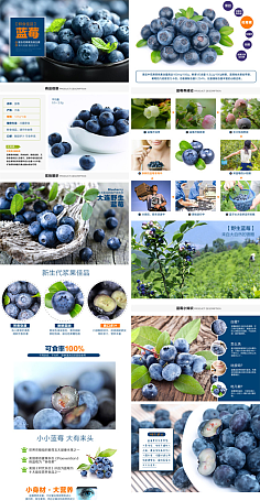 農(nóng)資與農(nóng)產(chǎn)品 現(xiàn)代農(nóng)業(yè)發(fā)展的雙輪驅(qū)動