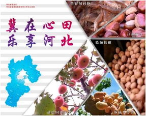 燕趙豐饒，品牌興農(nóng) 河北特色農(nóng)產(chǎn)品區(qū)域品牌建設之路
